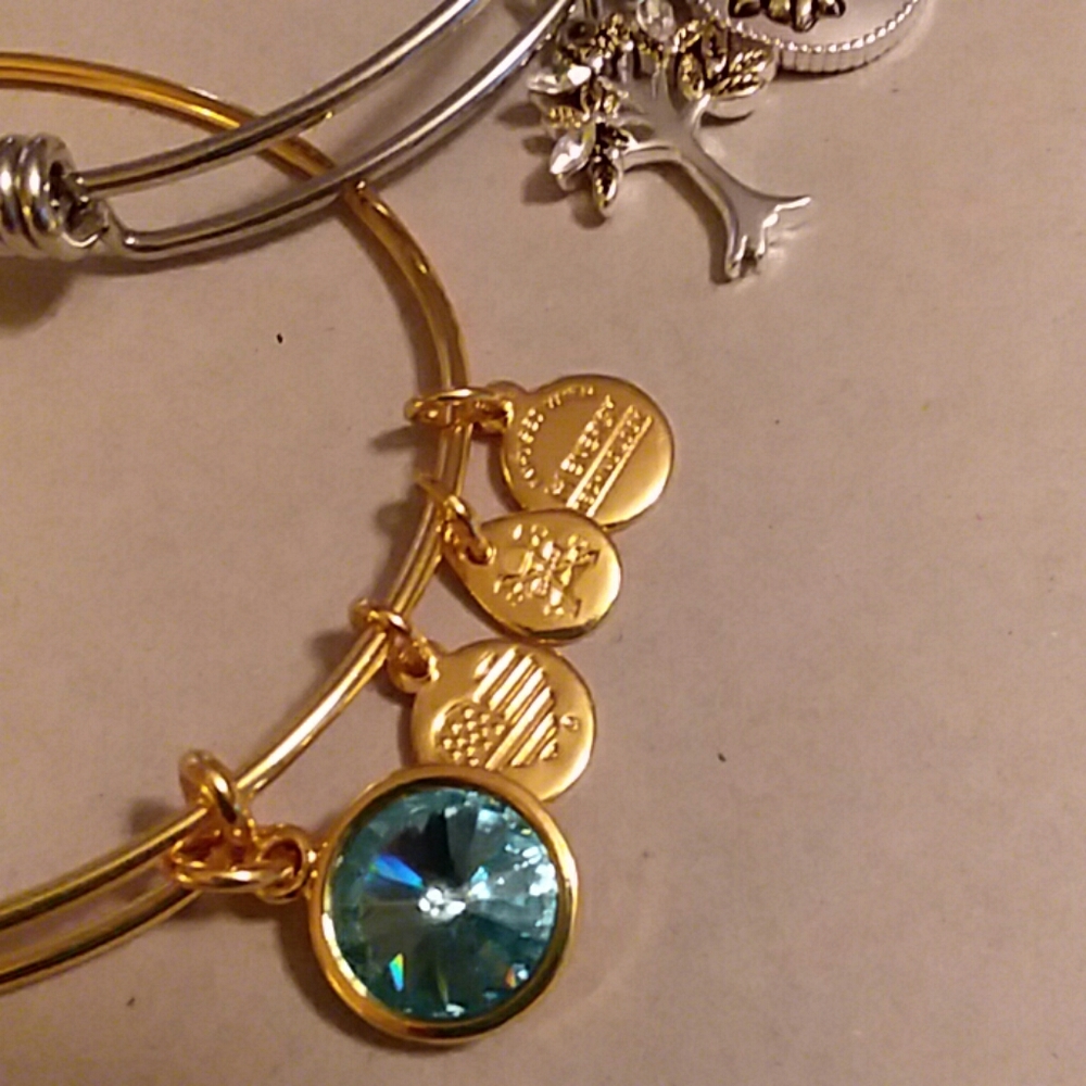 Two Charm Bracelets - Picture 2 of 4